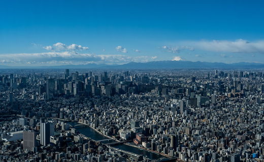 Metropolis